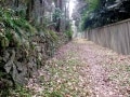 かつて新宿から渋谷まで流れていた「渋谷川」を歩く