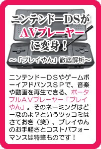 ニンテンドーDSがAVプレーヤーに変身！