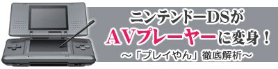 ニンテンドーDSがAVプレーヤーに変身！