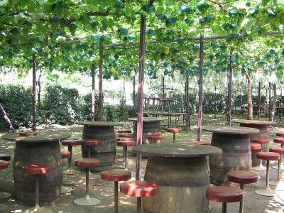 原茂ワイン