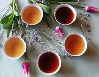 新しい年は体内浄化でスタート