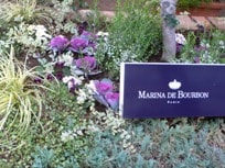 ブルボン家の雅なティーサロン