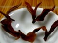 今年の夏はこのお茶で　東方美人