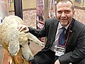 ハンガリーの至宝マンガリッツァとワイン