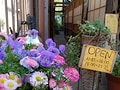 SPICE cafe（スパイスカフェ）…押上