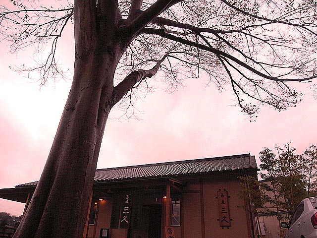 八千代・三久訪問記