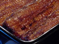 うなぎの頂点　尾花【南千住】