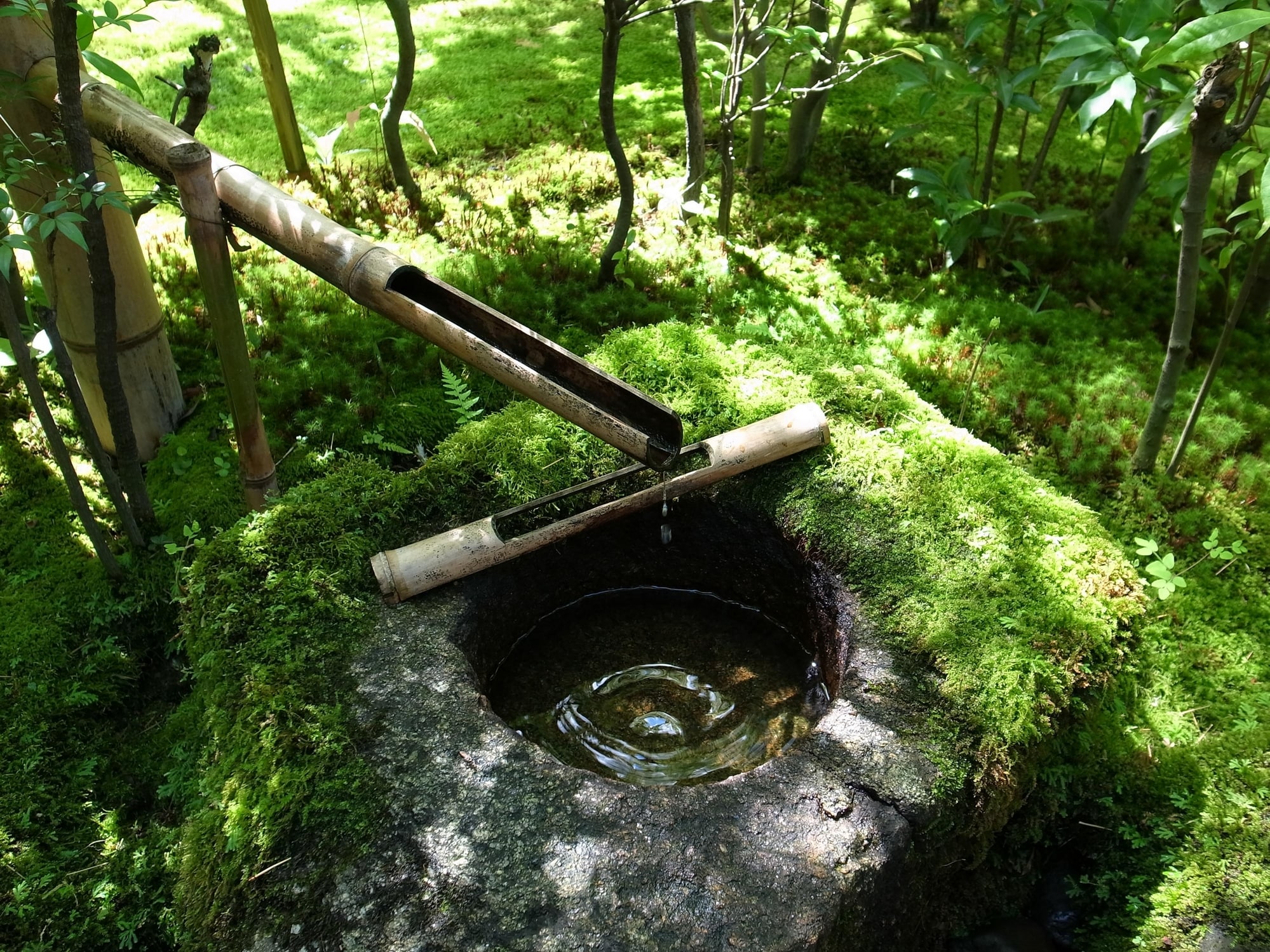 水琴窟の音を聴こう！しっとり、水の協奏曲 [暮らしの歳時記] All About