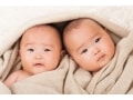 早生まれとはいつ生まれた人？遅生まれとの違いや意味を解説！