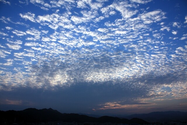 うろこ雲・さば雲・いわし雲・羊雲…「秋の雲」の見分け方 [暮らしの 