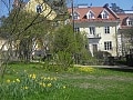 フィンランドでの新婚生活