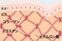 画像の代替テキスト