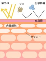画像の代替テキスト