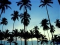 マレーシアのリゾート