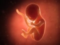 妊娠5ヶ月 妊娠16～19週の胎児の様子・母体の症状や気を付けること