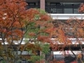 マンションを買えば資産になるとはかぎらない