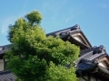 覚えておきたい相続と贈与の基本