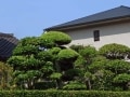 登録免許税を正しく理解しよう！