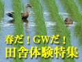 春だ！GWだ！田舎体験特集