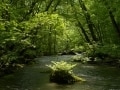 青森の観光スポット