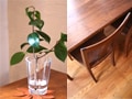 無垢の木の家具 WOOD YOU LIKE COMPANY