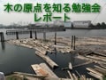 「木の原点を知る」勉強会