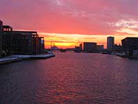 癒しの光?ストレスからの解放