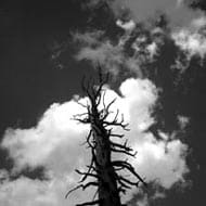 コンサル就職・転職　理系の落とし穴