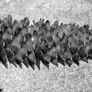 この記事を読むべし！コンサル業界入門