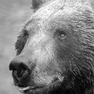 コンサル思考で実現　北京でメダル2倍の方法　3