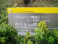 日中オムツ使用ゼロの取り組み