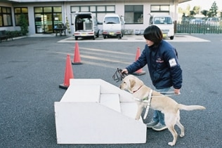 盲導犬訓練士ってなに？