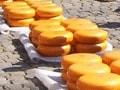 チーズで内臓脂肪を減らそう！