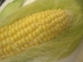 【むくみや夏バテの薬膳レシピ】 トウモロコシ料理