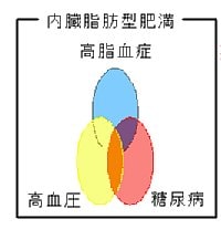 メタボリックシンドロームって何？