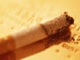 COPD・慢性閉塞性肺疾患は煙草病！