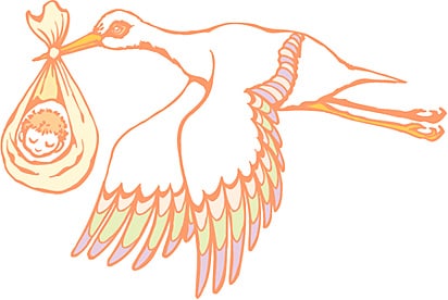 コウノトリ