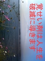 薬物依存…人生を破滅へ導く覚せい剤