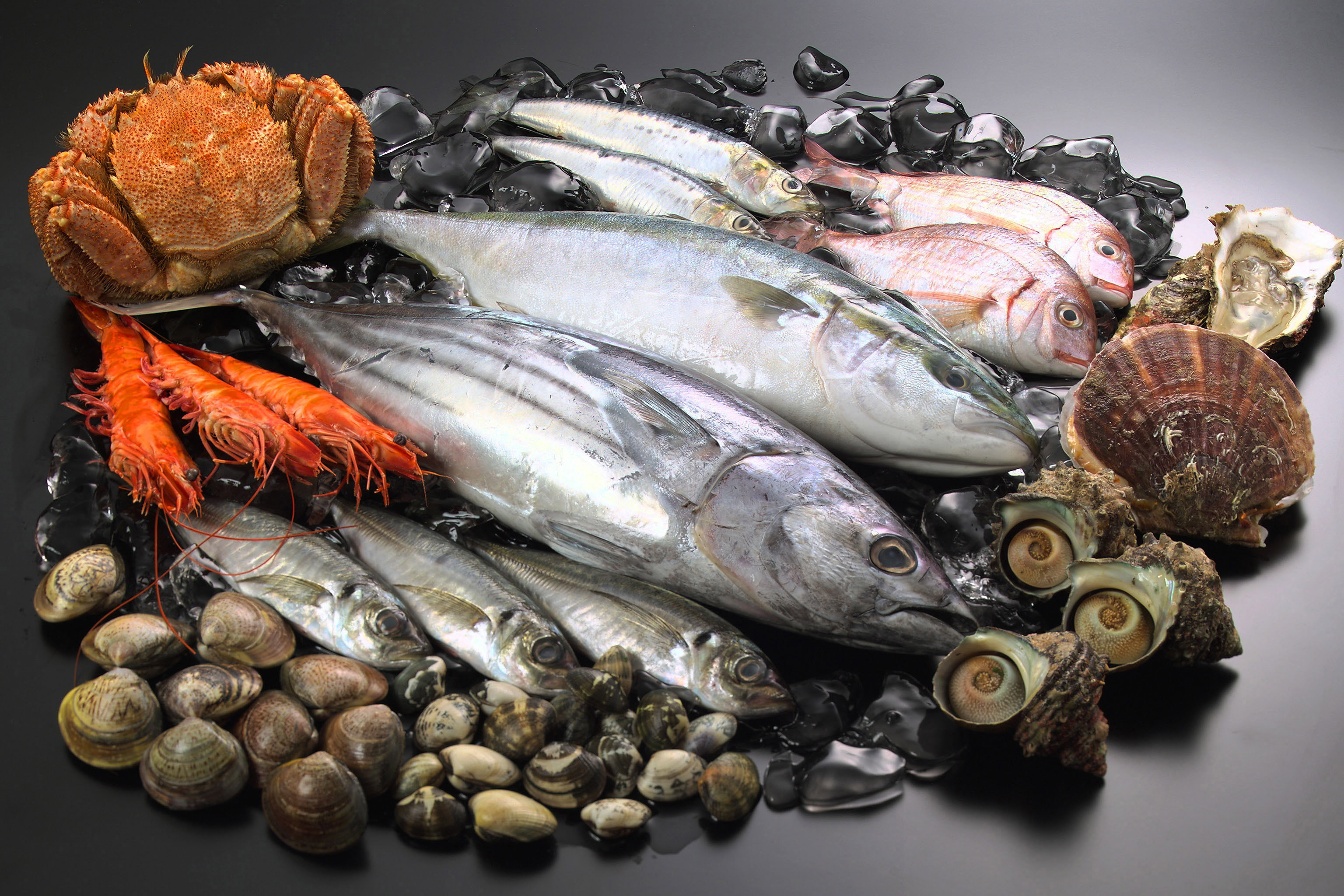 魚はアレルギー体質を改善する？