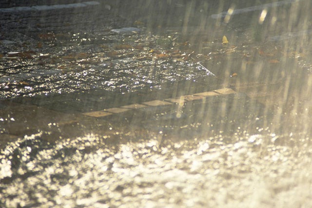 雨が降るとアレルギーはどうなる？