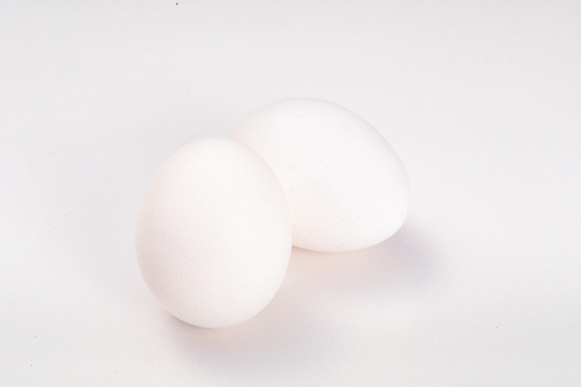 基礎知識vol.2　アトピーの原因