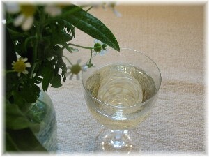 在宅ノウハウ便利帳VOL.6　便秘にこれだ！