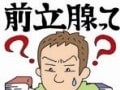 「前立腺」とEDの密接な関わりとは？