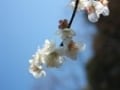 早春に「死にたくなる」人が増えるのはなぜか？