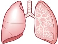 肺がんの初期症状とその進行
