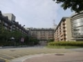 【取材レポート】台湾で認知症療養をする時代が到来？
