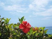 石垣島で半定住の悠々ライフ　前編