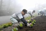 植栽の様子