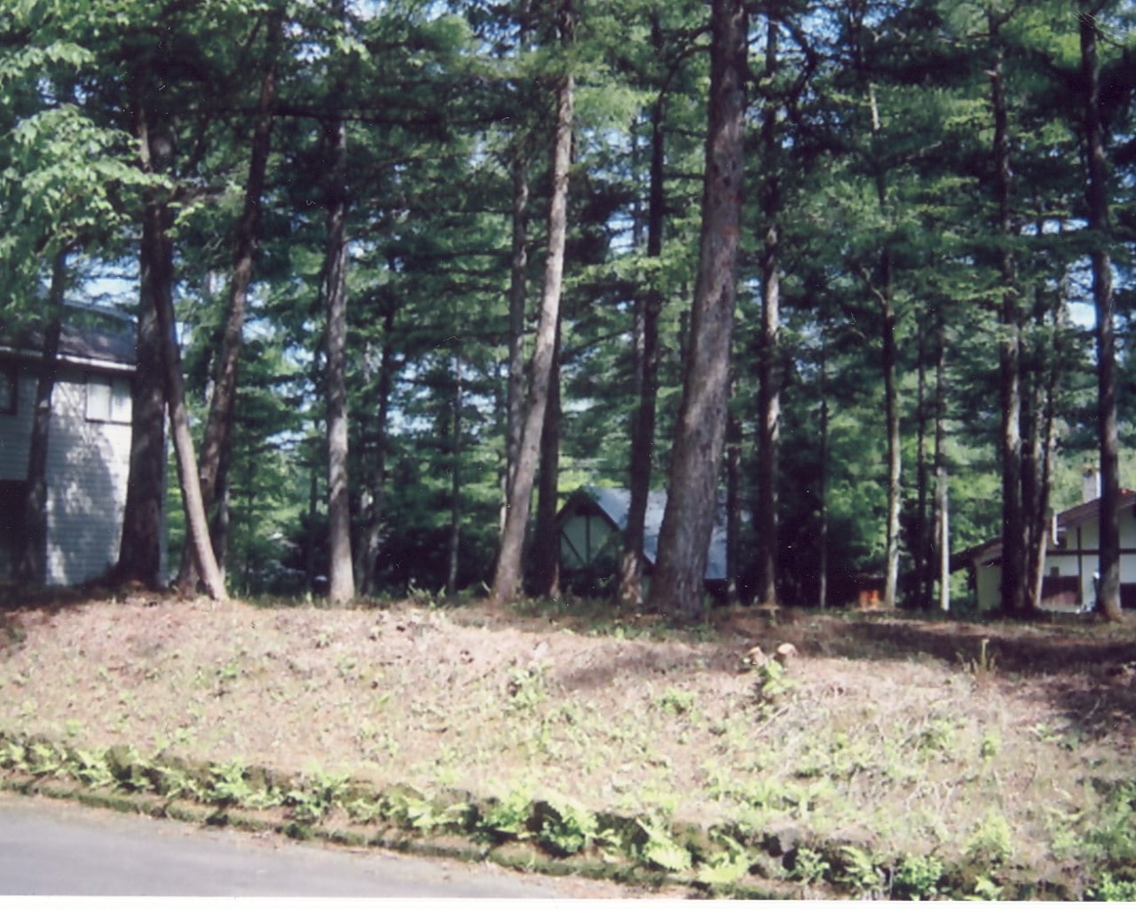 軽井沢で別荘を建てる時の注意ポイント