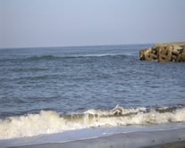 海辺の写真１